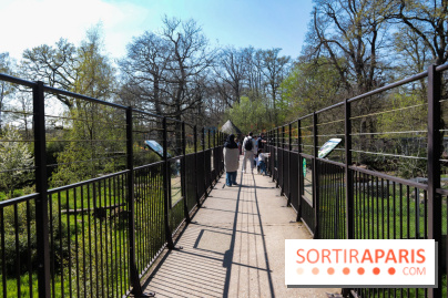 Zoo de Thoiry 2023 -  Félins