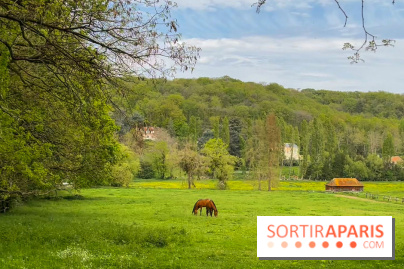 Balade - rando de Jouy-en-Josas jusqu'à l'Aqueduc de Buc