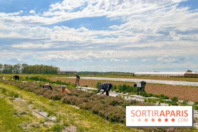 Balade - rando de Jouy-en-Josas jusqu'à l'Aqueduc de Buc - image00003