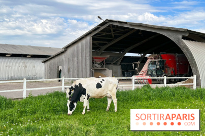 La Ferme de Viltain / La Cueillette de Viltain - image00010