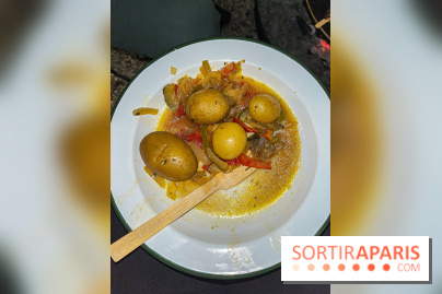 Les tanières du zoo de Thoiry 2023 - B90E9C52 5D5B 468B 85CE E4555B266D84