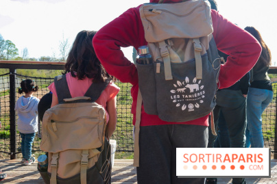 Les tanières du zoo de Thoiry 2023 -  Ours