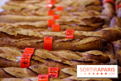 Concours de la meilleure baguette de Paris 2023 - Visuel baguette pain