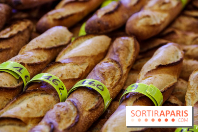 Concours de la meilleure baguette de Paris 2023 - Visuel baguette pain