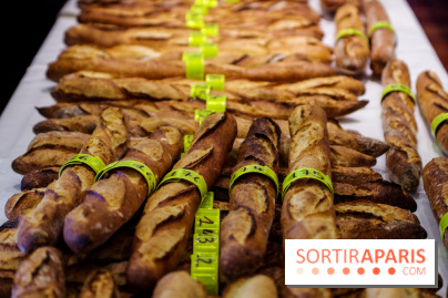 Concours de la meilleure baguette de Paris 2023 - Visuel baguette pain