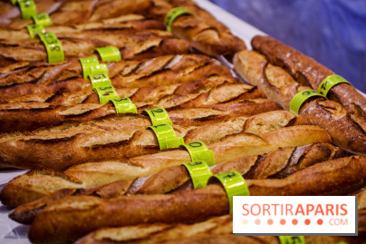 Concours de la meilleure baguette de Paris 2023 - Visuel baguette pain