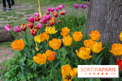 Wat Thammapatip Inrernational : la pagode bouddhiste et sa street food thaï, à Moissy-Cramayel - 99FD4B48 6186 4387 98E1 8653B6C21110