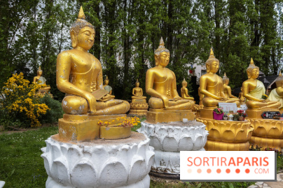 Wat Thammapatip Inrernational : la pagode bouddhiste et sa street food thaï, à Moissy-Cramayel - 448F6C17 3915 47CF 8F62 D53FAE2467D9