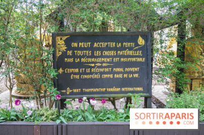 Wat Thammapatip Inrernational : la pagode bouddhiste et sa street food thaï, à Moissy-Cramayel - 8768B10E 4A74 493C B158 65F8E536F54D