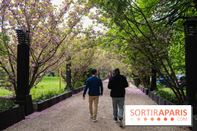 Wat Thammapatip Inrernational : la pagode bouddhiste et sa street food thaï, à Moissy-Cramayel - 95914580 96CD 4D0F 8382 82E2A9B28465