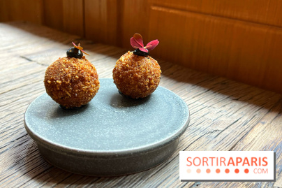 Géosmine - Croquettes de rillettes