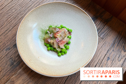 Géosmine - Maquereaux petits pois