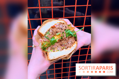 Alfi - Sandwich effiloché bœuf