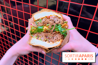 Alfi - Sandwich effiloché bœuf