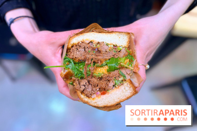 Alfi - Sandwich effiloché bœuf