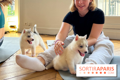 Puppy Yoga