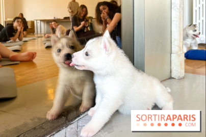 Puppy Yoga