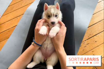 Puppy Yoga