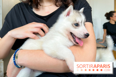 Puppy Yoga - image00010