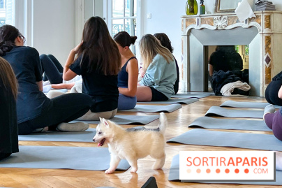 Puppy Yoga