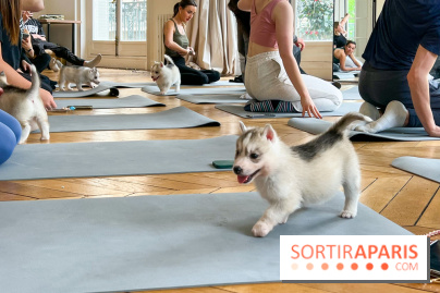 Puppy Yoga