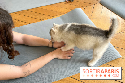 Puppy Yoga