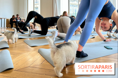Puppy Yoga