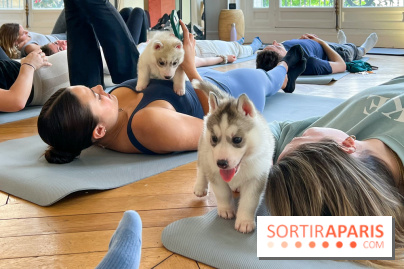 Puppy Yoga