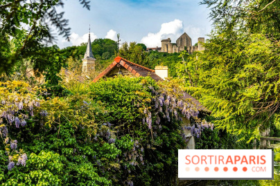 Le Château de la Madeleine à Chevreuse  -  A7C3910