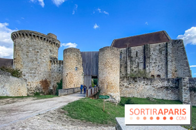 Le Château de la Madeleine à Chevreuse  - IMG 8924