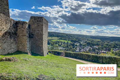Le Château de la Madeleine à Chevreuse  - IMG 8934