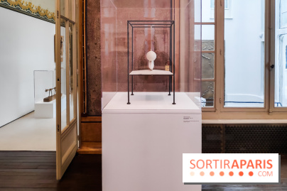 Exposition ASensitiv de Warren à l'Institut Giacometti - nos photos - IMG 20230515 114029