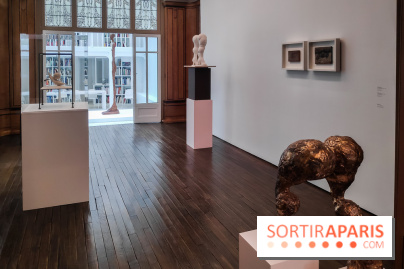 Exposition ASensitiv de Warren à l'Institut Giacometti - nos photos - IMG 20230515 114118