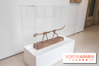 Exposition ASensitiv de Warren à l'Institut Giacometti - nos photos - IMG 20230515 114130