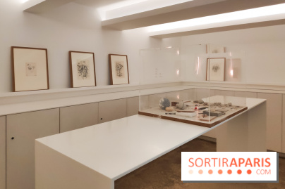 Exposition ASensitiv de Warren à l'Institut Giacometti - nos photos - IMG 20230515 114226 1