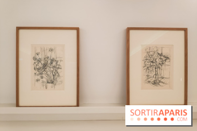 Exposition ASensitiv de Warren à l'Institut Giacometti - nos photos - IMG 20230515 114236