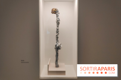 Exposition ASensitiv de Warren à l'Institut Giacometti - nos photos - IMG 20230515 114303 1