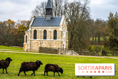 Domaine National de Port-Royal des Champs dans les Yvelines -  A7C3207