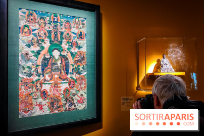 Médecines d'Asie, l'art de l'équilibre : l'exposition bien-être étonnante du musée Guimet - photos - IMG20230516103336