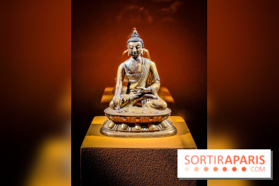 Médecines d'Asie, l'art de l'équilibre : l'exposition bien-être étonnante du musée Guimet - photos - IMG20230516103914