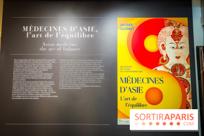 Médecines d'Asie, l'art de l'équilibre : l'exposition bien-être étonnante du musée Guimet - photos