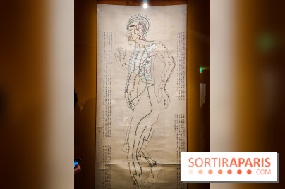 Médecines d'Asie, l'art de l'équilibre : l'exposition bien-être étonnante du musée Guimet - photos