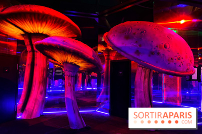 Le labyrinthe de Tim Burton - IMG 2567