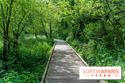 Sentier découverte de Maincourt - Vallée de Chevreuse -  A7C4054