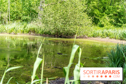 Sentier découverte de Maincourt - Vallée de Chevreuse -  A7C4061