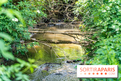 Sentier découverte de Maincourt - Vallée de Chevreuse -  A7C4065