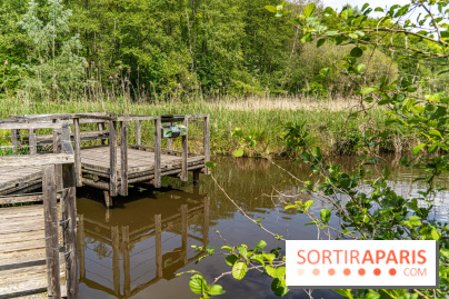 Sentier découverte de Maincourt - Vallée de Chevreuse -  A7C4066