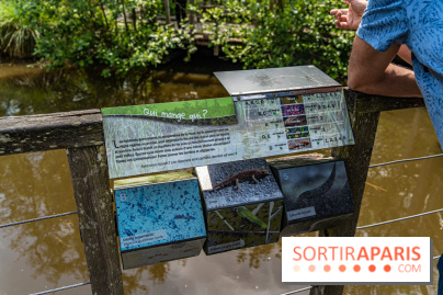Sentier découverte de Maincourt - Vallée de Chevreuse -  A7C4067