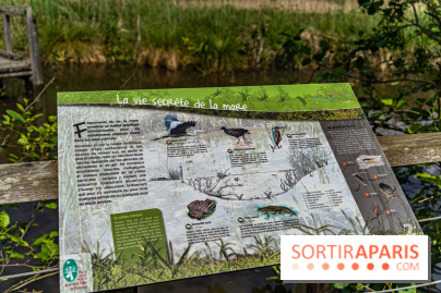 Sentier découverte de Maincourt - Vallée de Chevreuse -  A7C4079