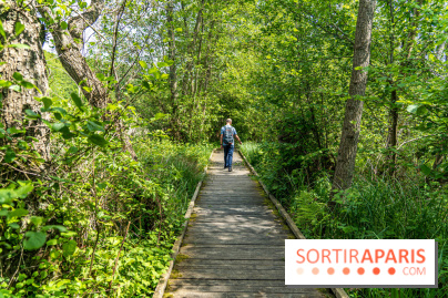 Sentier découverte de Maincourt - Vallée de Chevreuse -  A7C4083